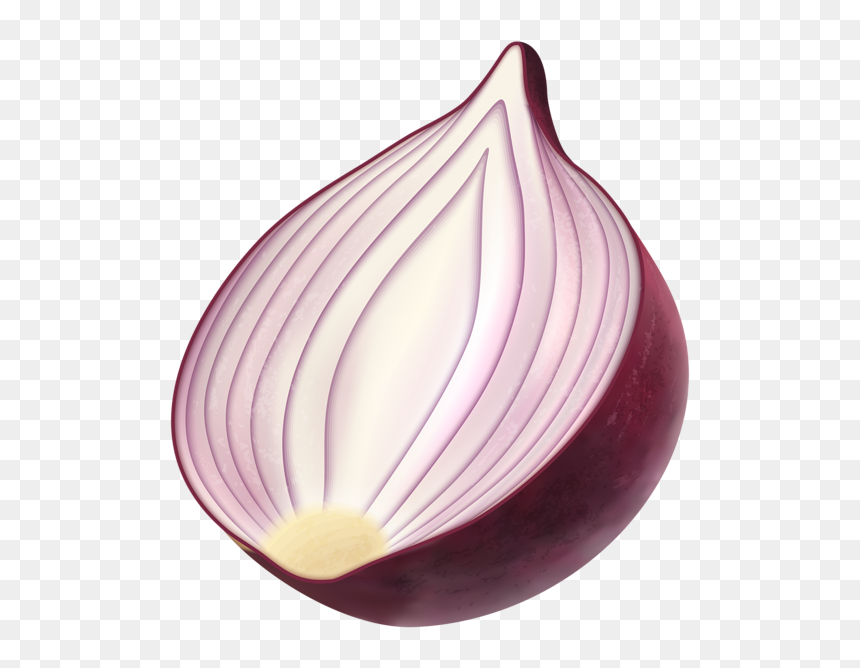 Onion Clipart Png - Clipart Red Onion Transparent, Png Download - onion vector png