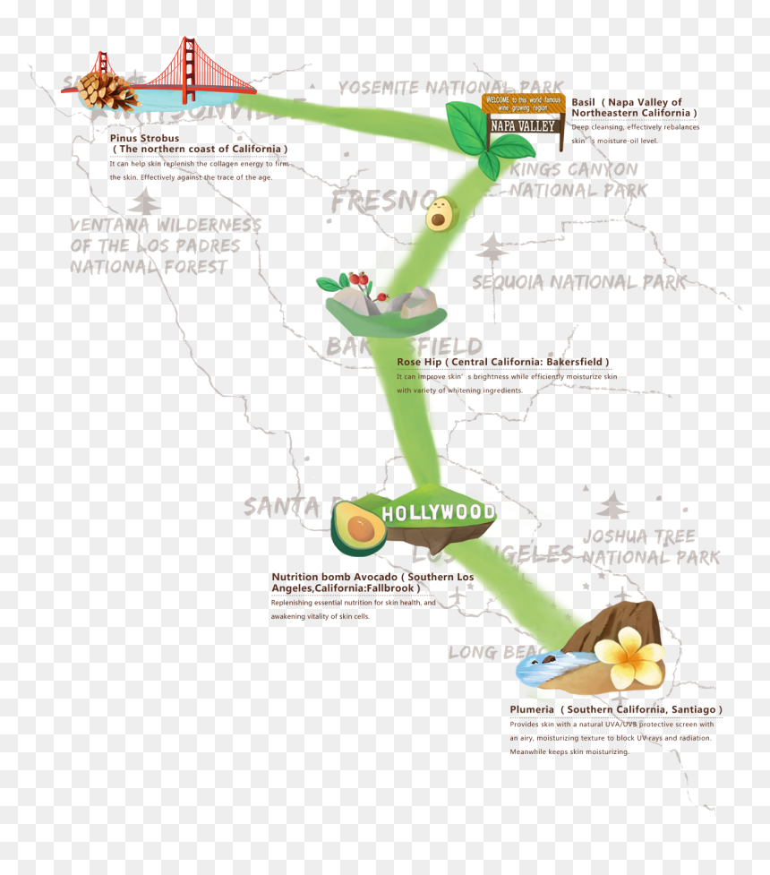 Calibio, Extraction Of The Natural Essence Of California - Map, HD Png Download - plumeria tree png