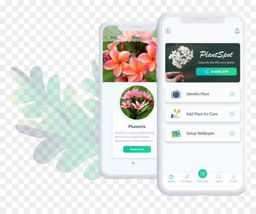 Smartphone, HD Png Download - plumeria tree png