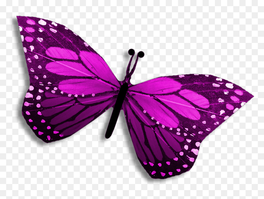 Purple Clipart Editing Picsart Butterfly Pretty Clipart - Clip Art, HD Png Download - picsart clipart png