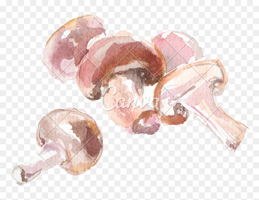 Transparent Trippy Mushroom Png - Mushrooms Watercolor Transparent Png, Png Download - button mushroom png
