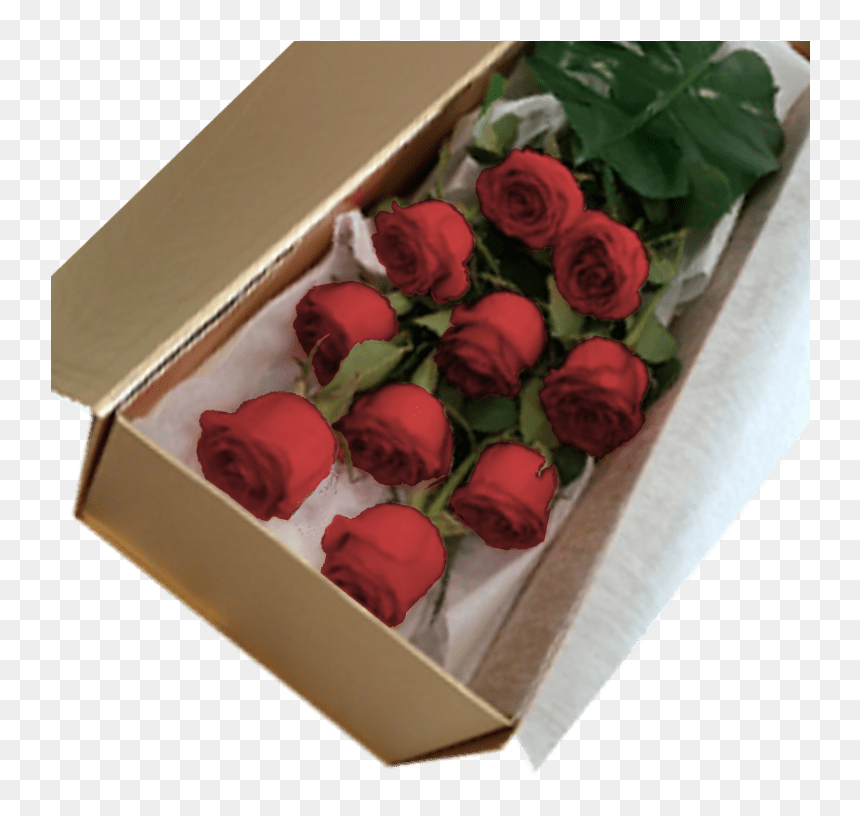 Garden Roses, HD Png Download - valentine single roses png