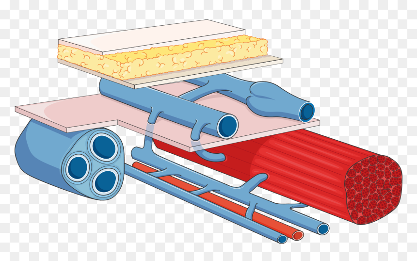 Clip Art, HD Png Download - flute vector png