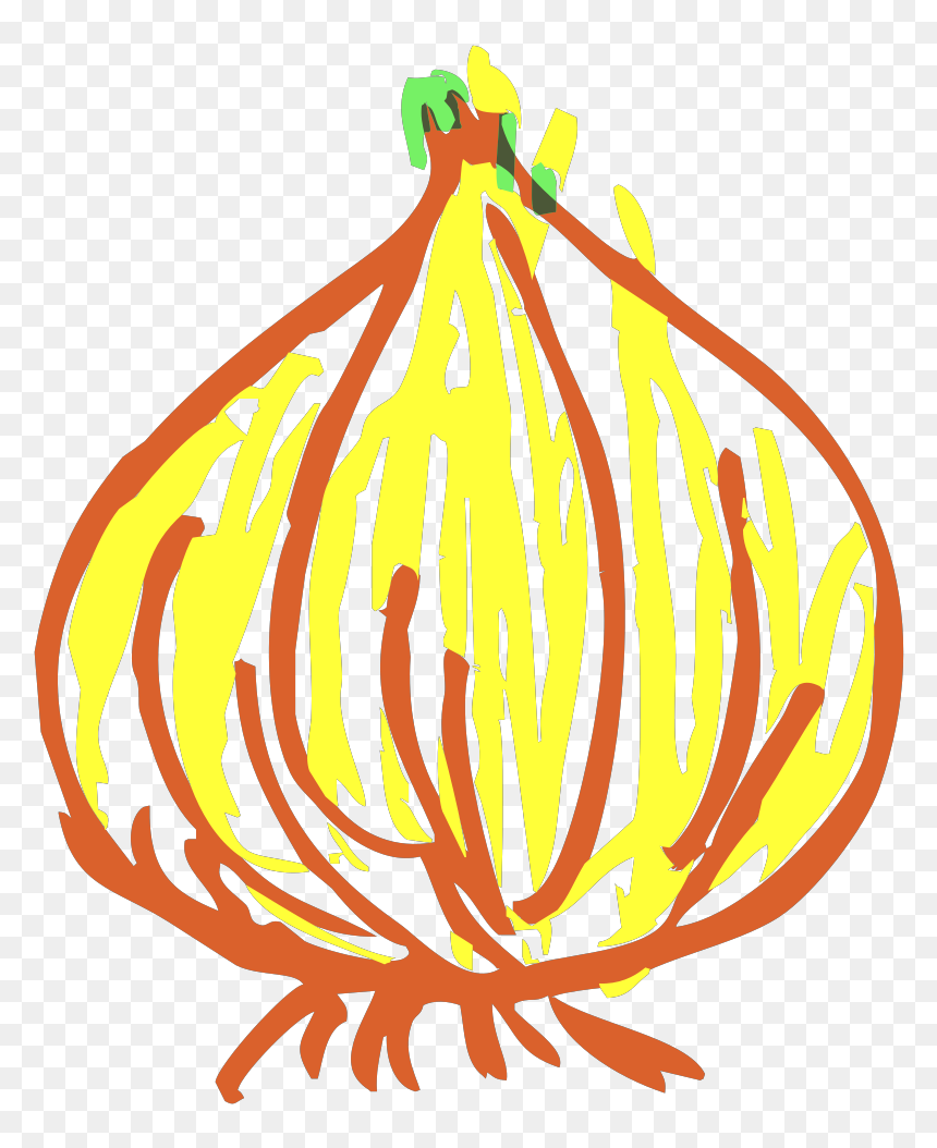 Onion Svg Clip Arts - Bawang Png, Transparent Png - onion vector png