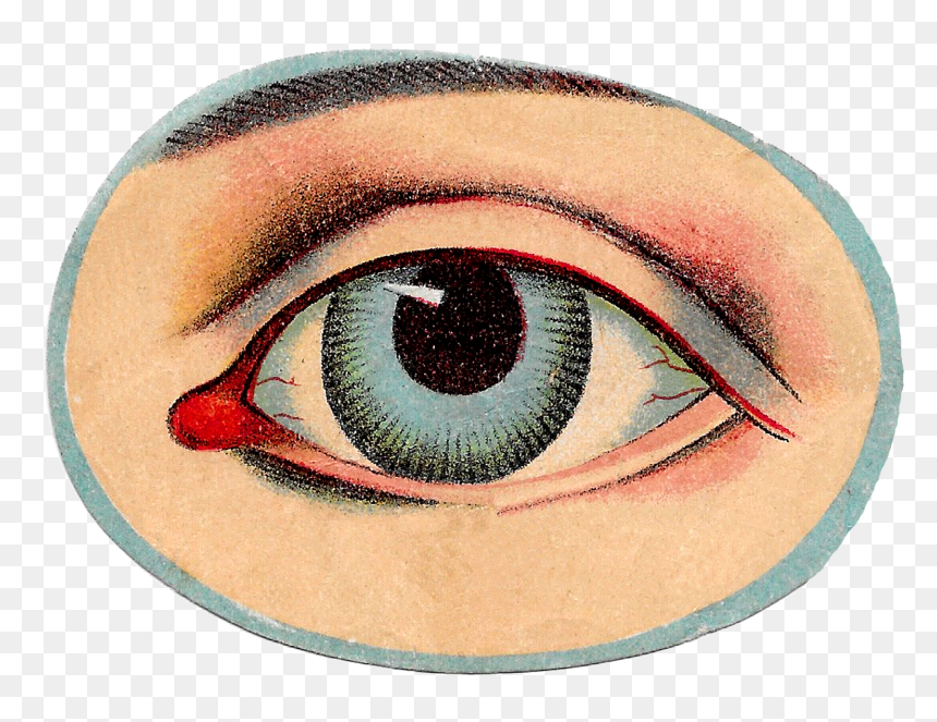 Free Vintage Human Anatomy Illustration Images Eye - Vintage Eye Png, Transparent Png - eye images png