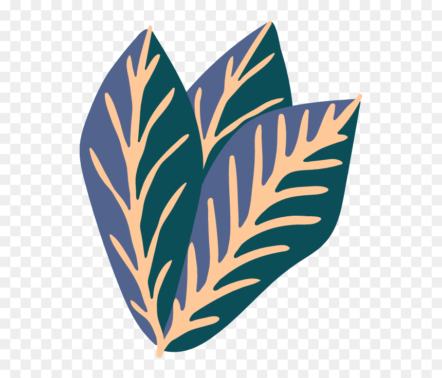 Clip Art, HD Png Download - plumeria tree png