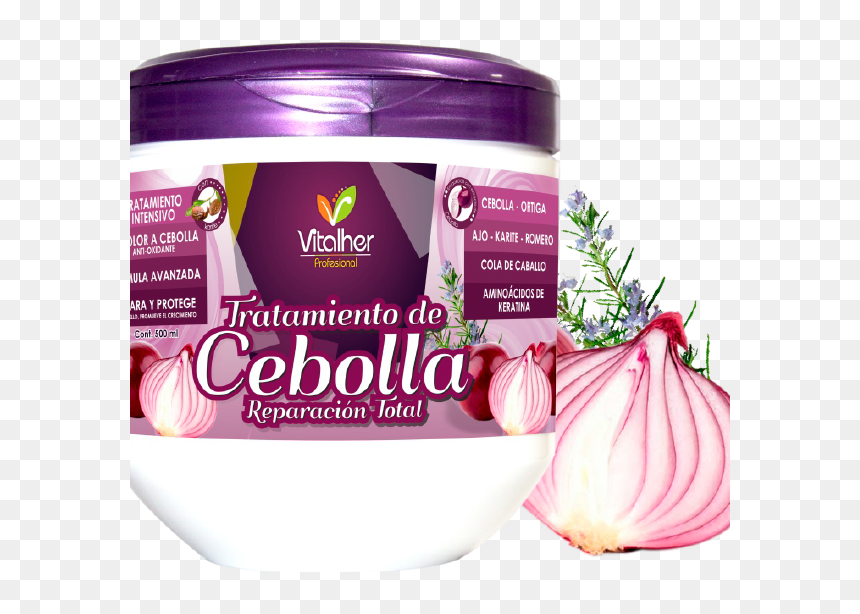 02 Producto - Tratamiento De Cebolla Vitalher, HD Png Download - onion vector png