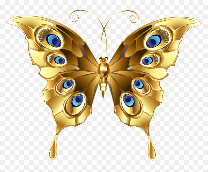 Golden Butterfly Photo - Beautiful Butterfly Clipart Png, Transparent Png - golden fish png