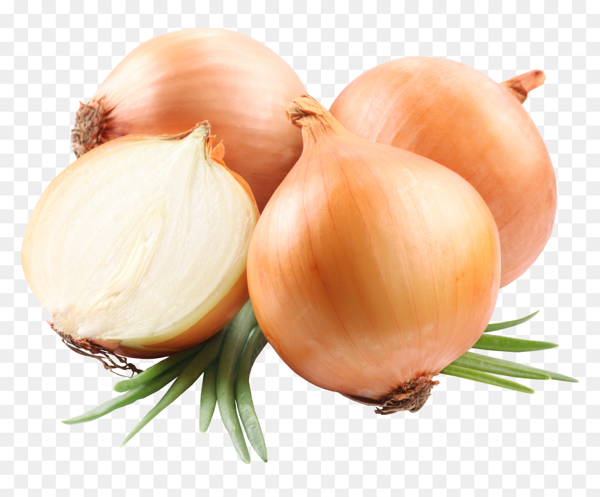 Onion Png Image - Onion Png, Transparent Png - onion vector png