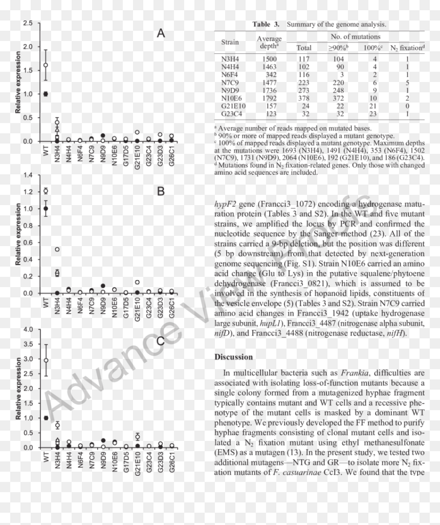 Document, HD Png Download - nife png