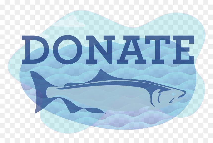 Killer Whale, HD Png Download - donate button png