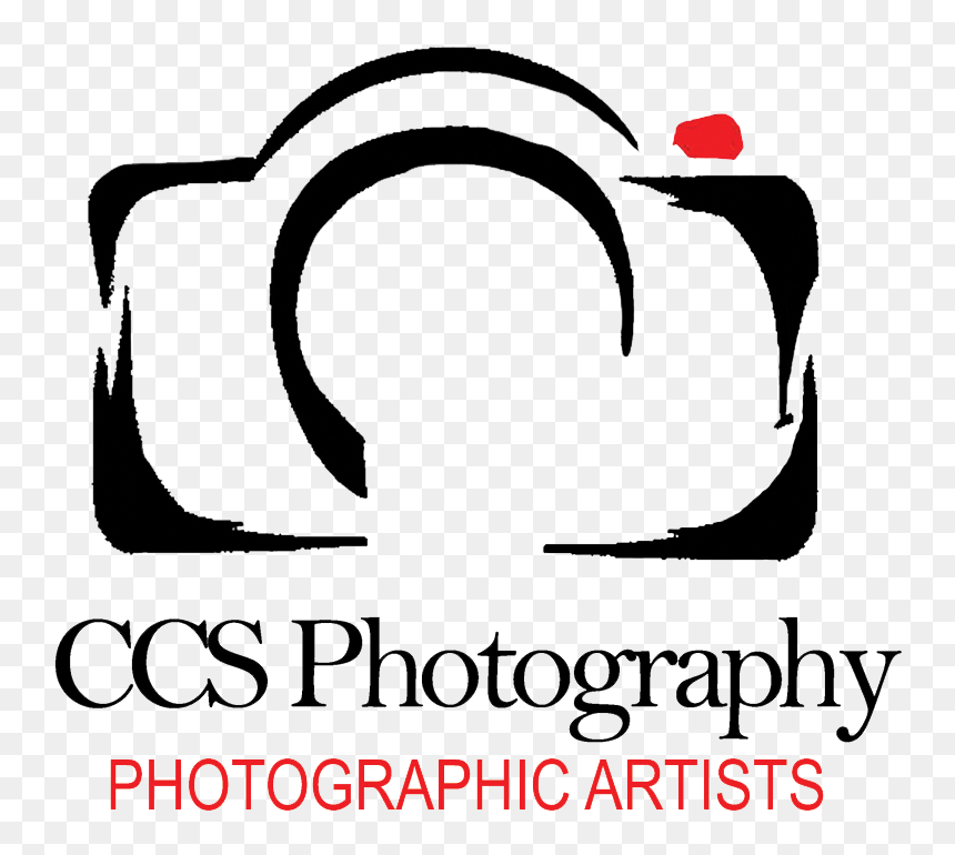 Photography Clipart Photography Logo - Delia, HD Png Download - photographer clipart png
