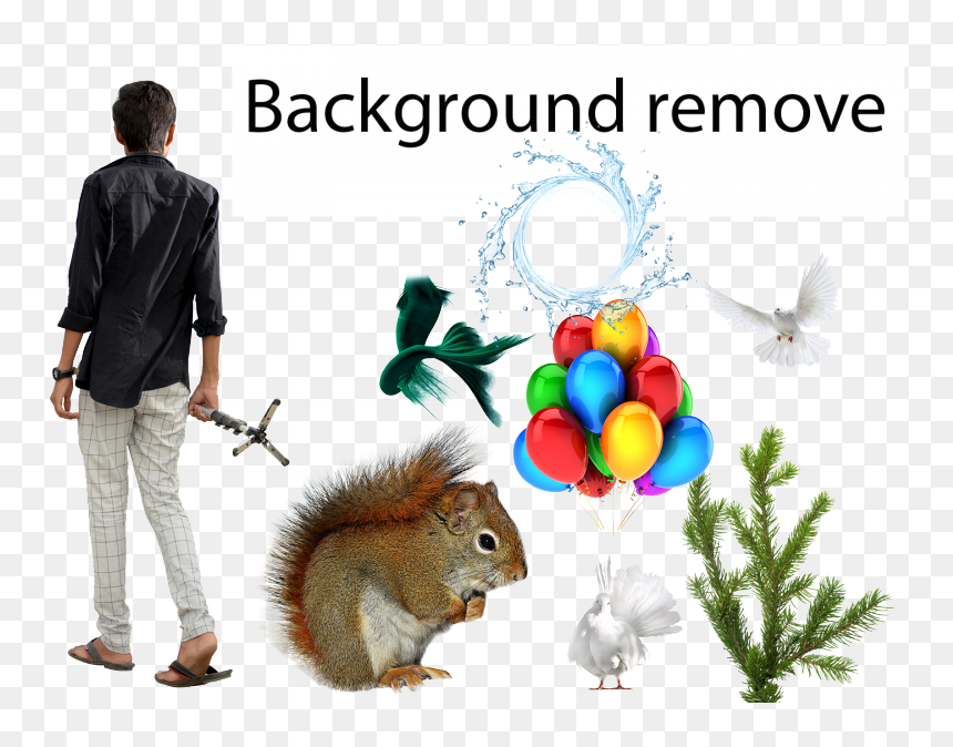 Fox Squirrel, HD Png Download - background images in png format