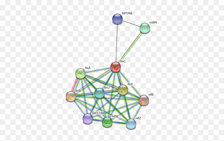 Fixc Protein - Circle, HD Png Download - nife png