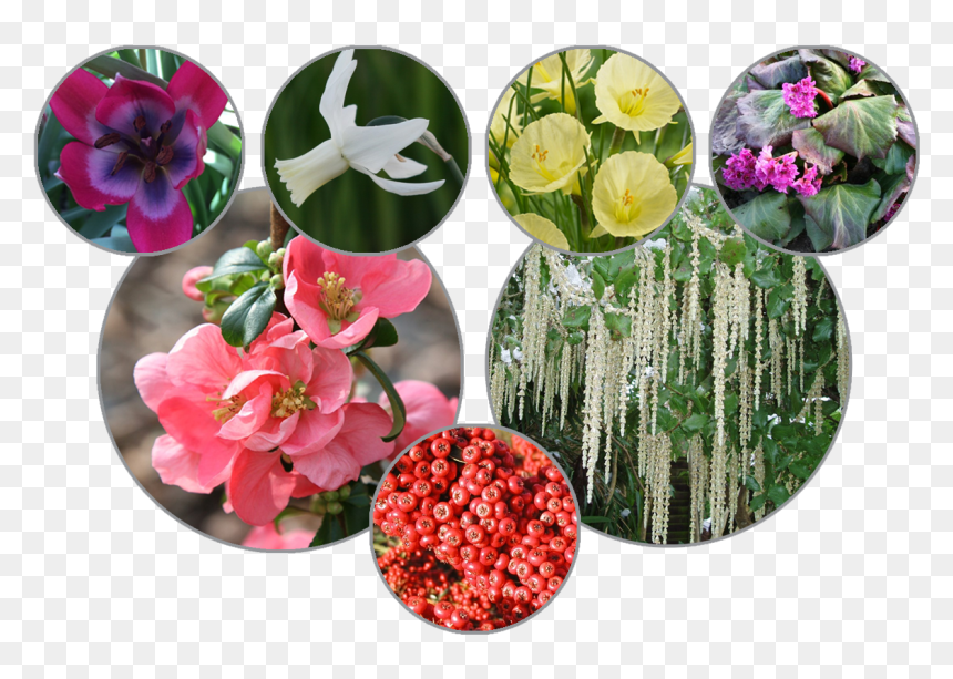 Artificial Flower, HD Png Download - side border designs flowers png