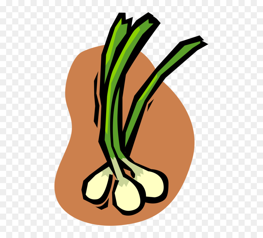 Vector Illustration Of Green Scallion Onion Vegetable, HD Png Download - onion vector png