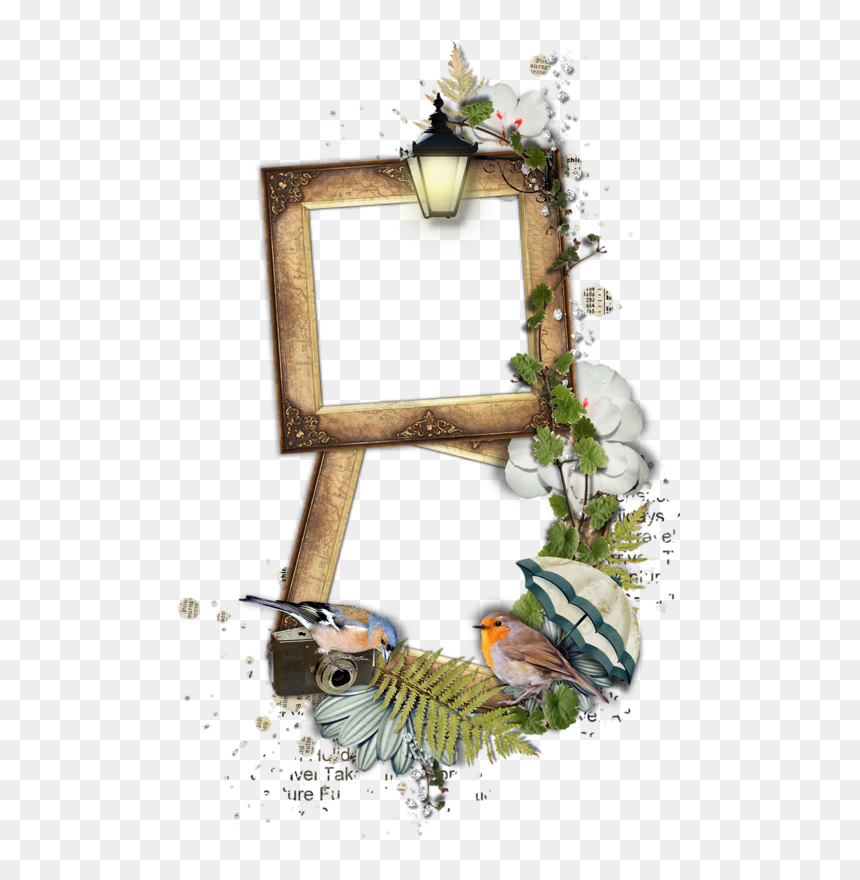 Picture Frame, HD Png Download - book frame png