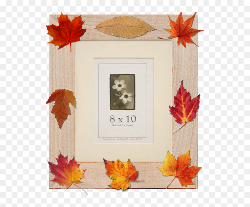 Frames, HD Png Download - leaves frame png