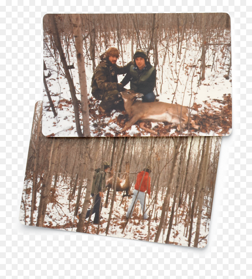 Snow, HD Png Download - deer tracks png