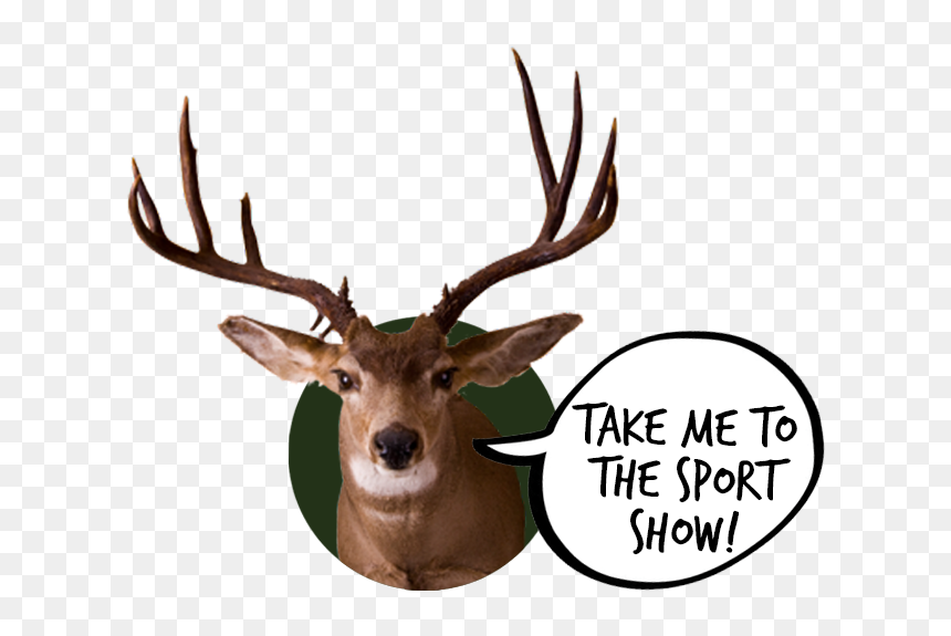 Elk, HD Png Download - deer tracks png