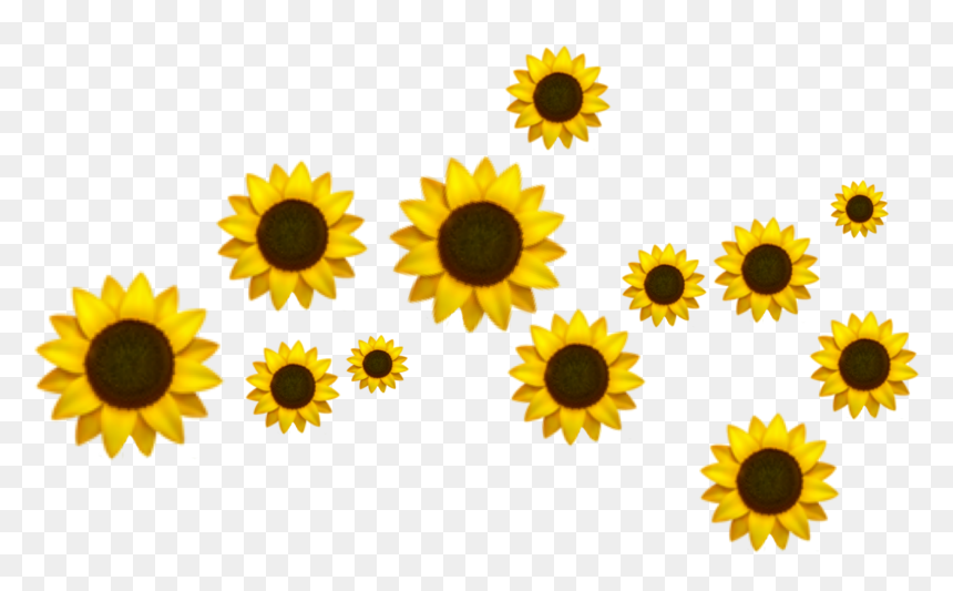 Png Crown, Transparent Png - sunflower emoji png