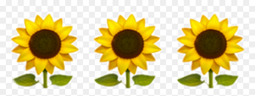 Yellow Flower Emoji Png, Transparent Png - sunflower emoji png