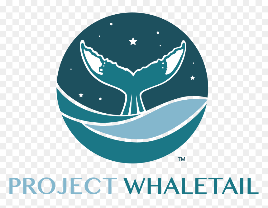 Graphic Design, HD Png Download - whale tail png