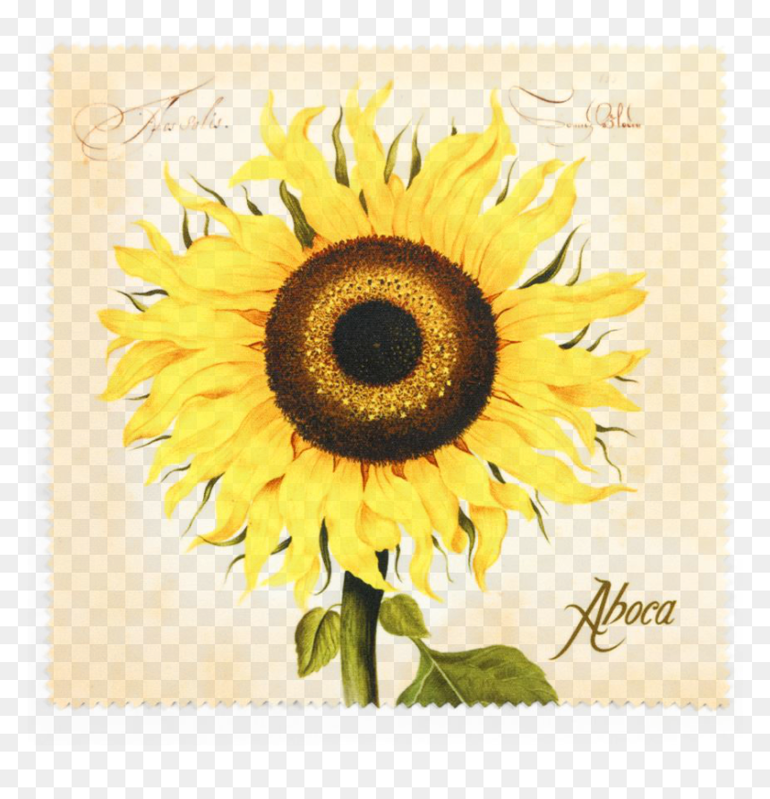 Aboca, HD Png Download - sunflower emoji png