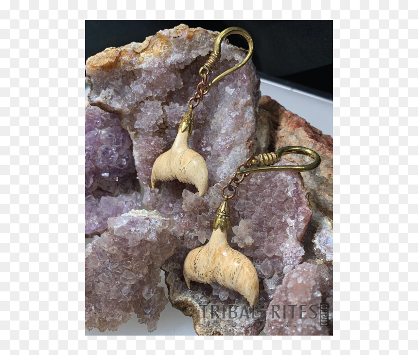Earrings, HD Png Download - whale tail png