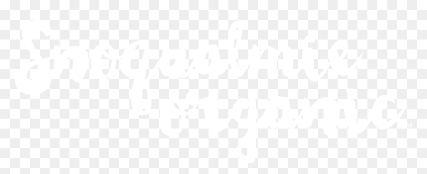 Ice Cream Vector Png, Transparent Png - ice cream vector png