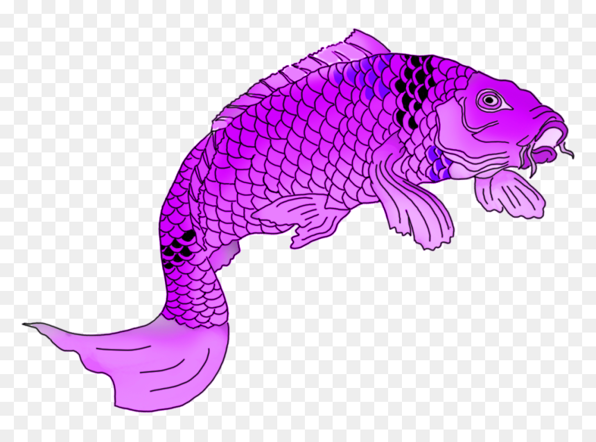 Koi, HD Png Download - fish drawing png
