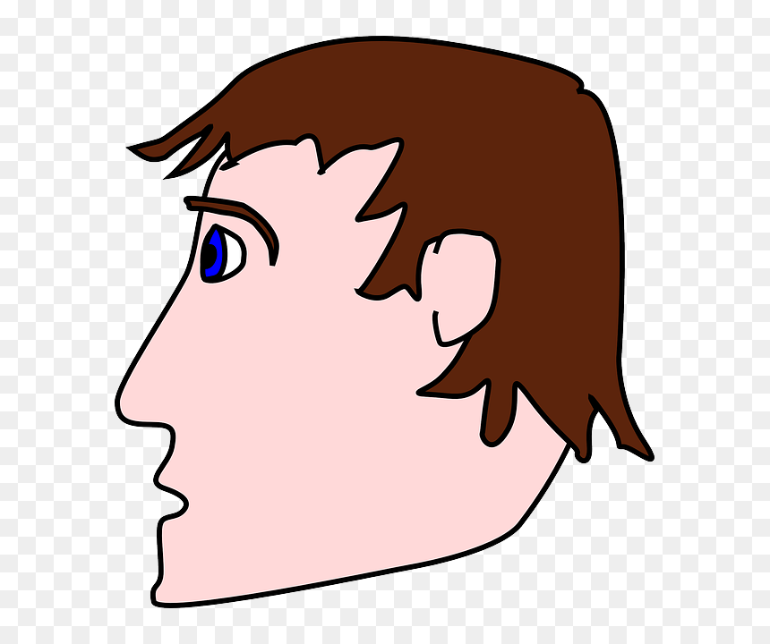 Labelled Diagram Of Pinhole Camera, HD Png Download - cartoon head png