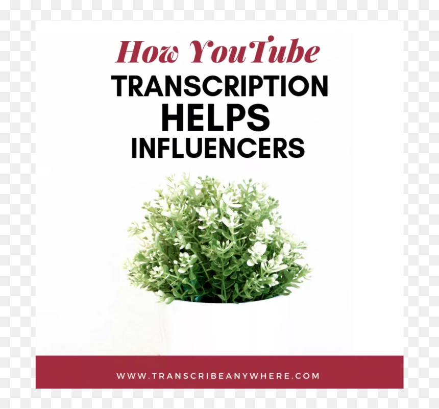 Verbena, HD Png Download - youtubers life png