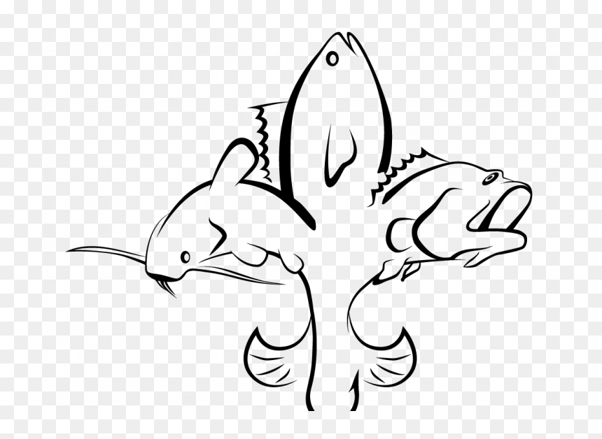 Bass, HD Png Download - fish drawing png