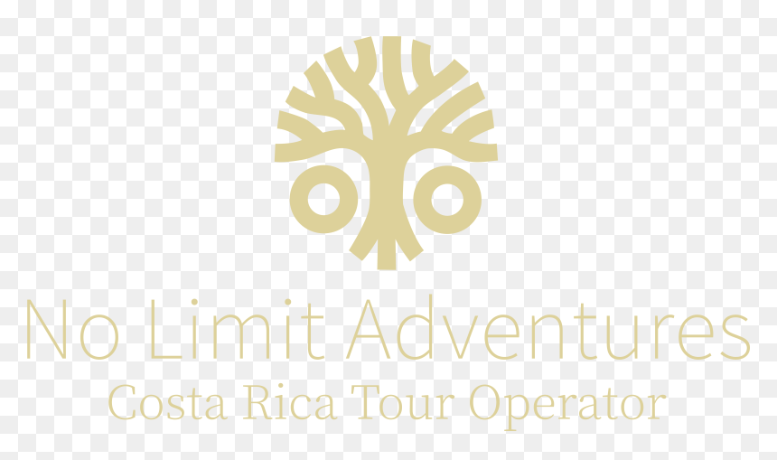 No Limit Adventures Costa Rica - Graphic Design, HD Png Download - plumeria tree png