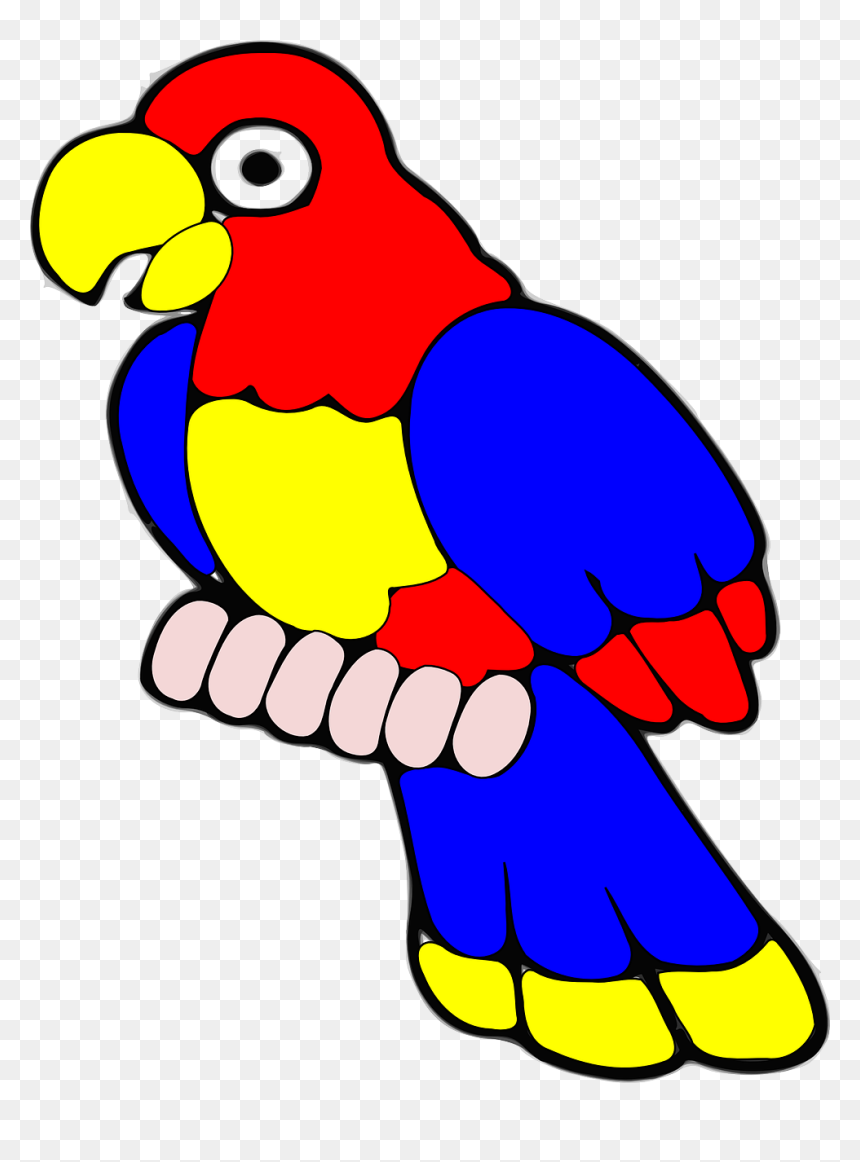 Cockatoo Clipart Blue - ภาพ นก แก้ว การ์ตูน, HD Png Download - parrot clipart png