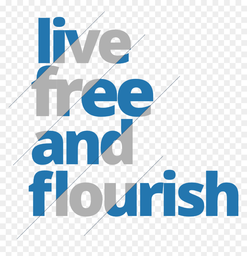 Graphic Design, HD Png Download - donate button png