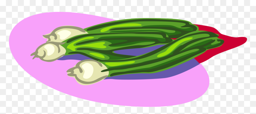 Vector Illustration Of Scallion Onion Shallot Vegetable - Illustration, HD Png Download - onion vector png