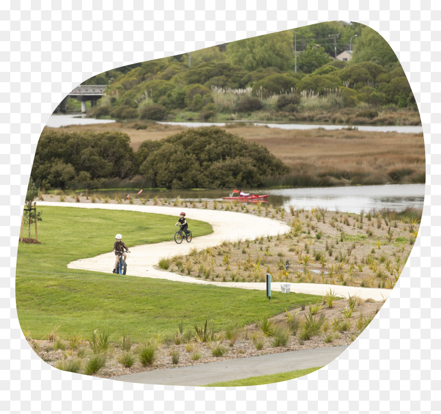 Walkways - Grass, HD Png Download - brown grass png