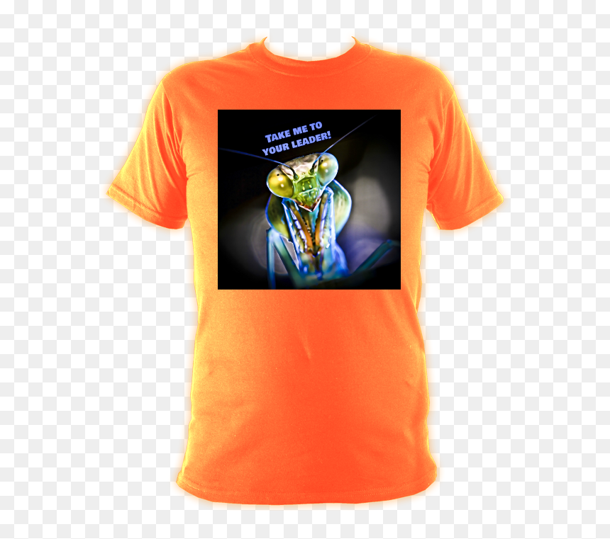 Active Shirt, HD Png Download - praying mantis png