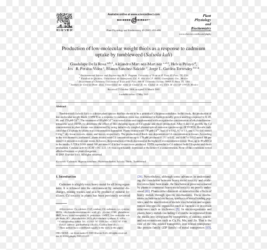 Folio Fifteen From Burchard Of Sion's De Locis Ac Mirabilibus, HD Png Download - tumble weed png