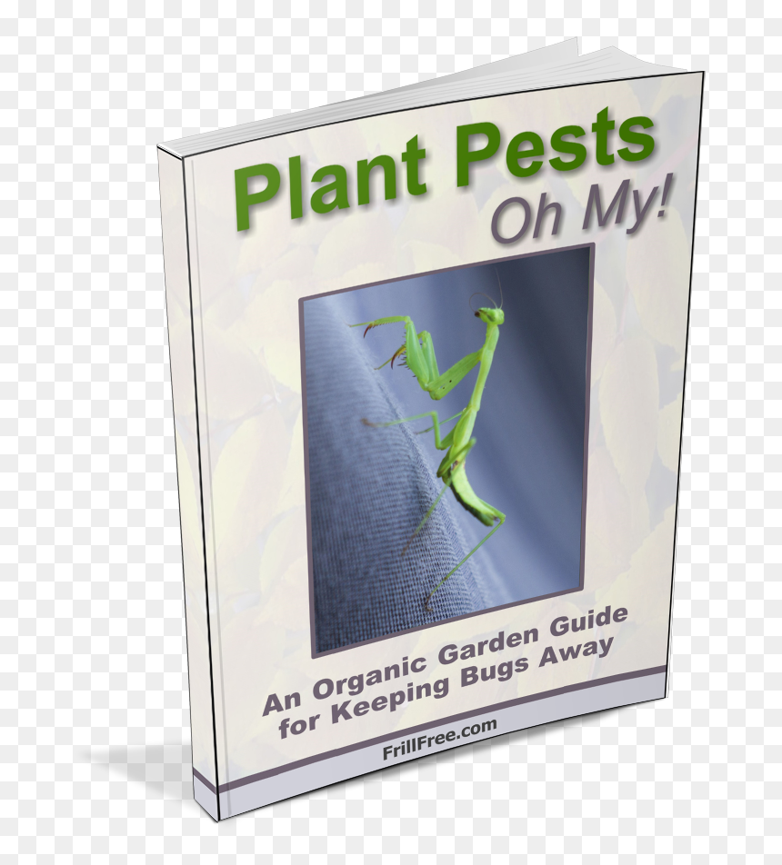 Plant Pests Handbook - Mantidae, HD Png Download - praying mantis png