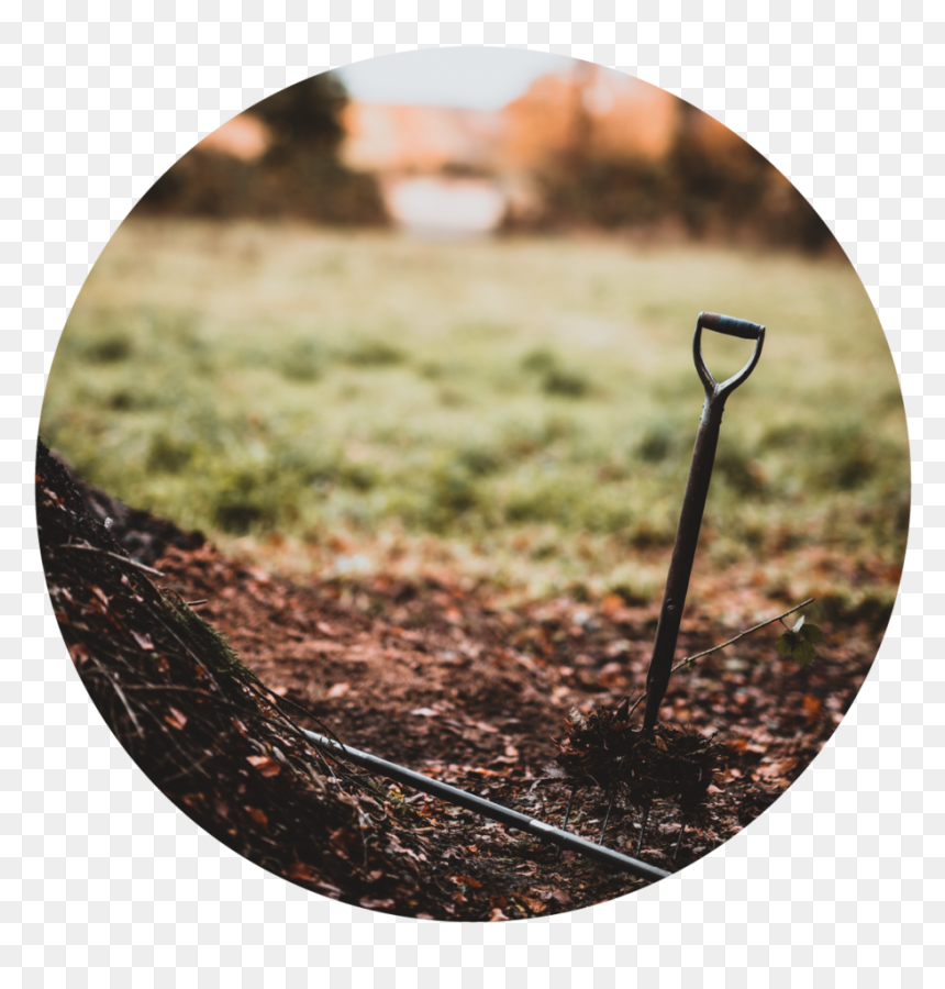 Grass , Png Download - 2 Days Ago Storypick Dead Prisoners Being Used As Fertilizer, Transparent Png - planting png