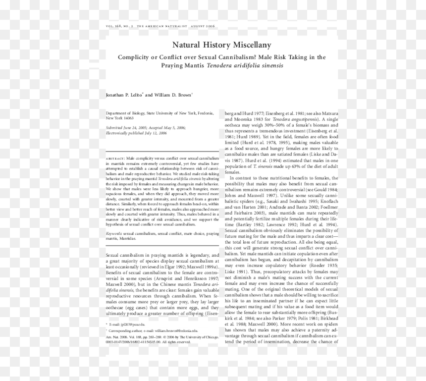 Text Page - Holy Land - The Necropolis, HD Png Download - praying mantis png