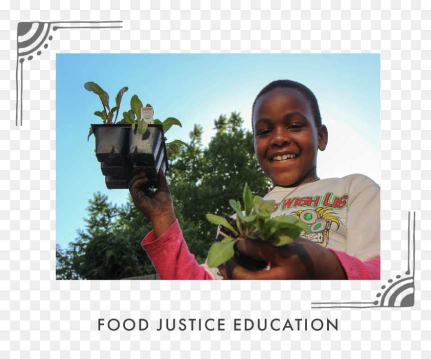 Food Justice Graphic, HD Png Download - planting png