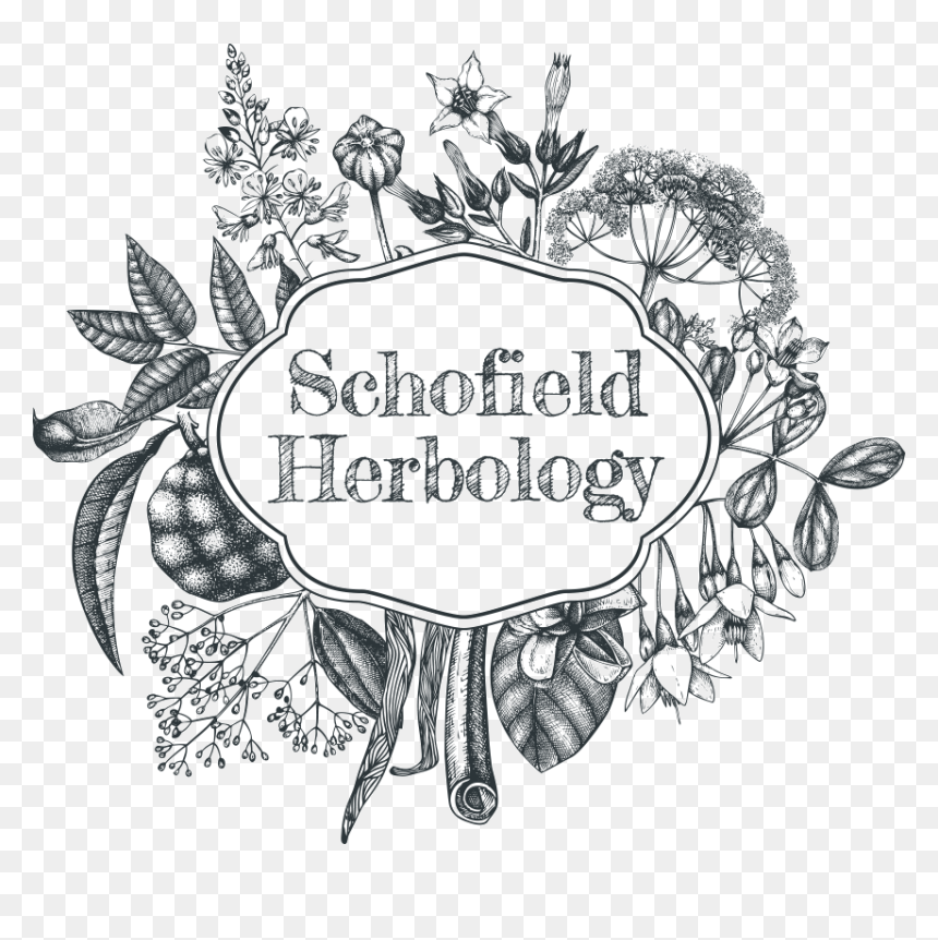 Wreath .png, Transparent Png - wreath .png