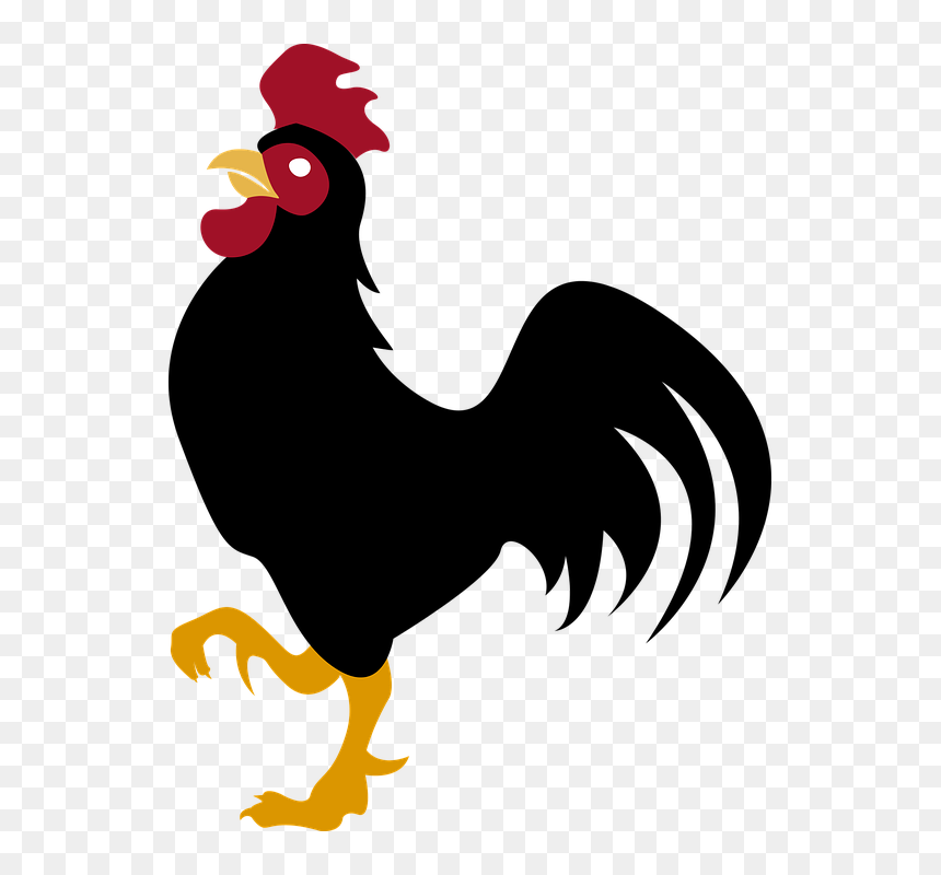 Thumb Image - Cresta De Gallo Png, Transparent Png - gallo png