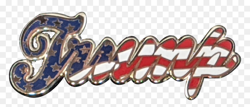 Set Of 10 Trump Pins - Body Jewelry, HD Png Download - trump full body png