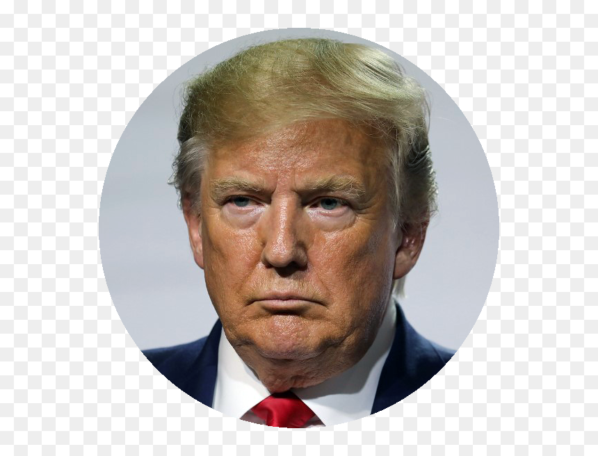 Danilt Trump, HD Png Download - trump full body png