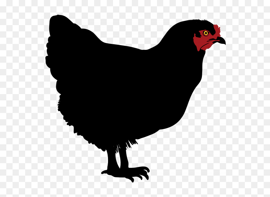 Transparent Background Chicken Silhouettes, HD Png Download - gallo png